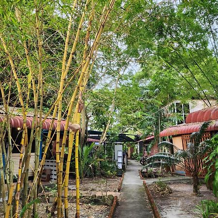 Blissfull Sweet Inn Pantai Cenang  Dış mekan fotoğraf
