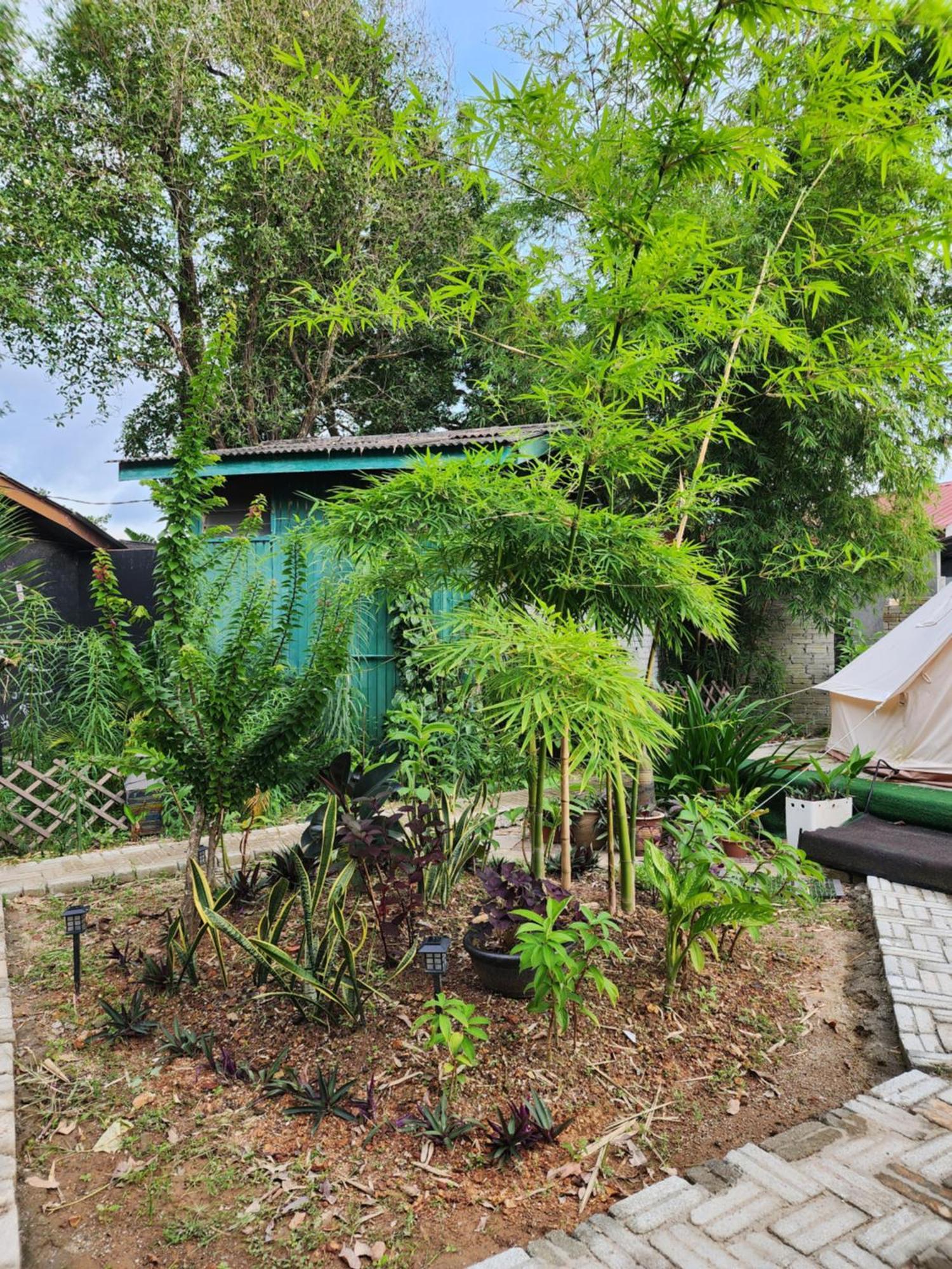 Blissfull Sweet Inn Pantai Cenang  Dış mekan fotoğraf