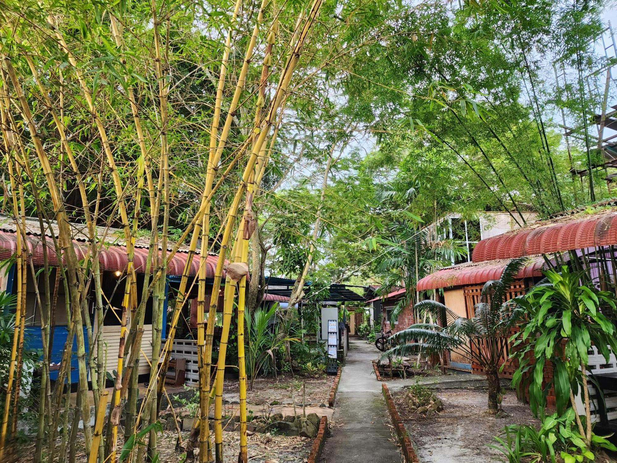 Blissfull Sweet Inn Pantai Cenang  Dış mekan fotoğraf